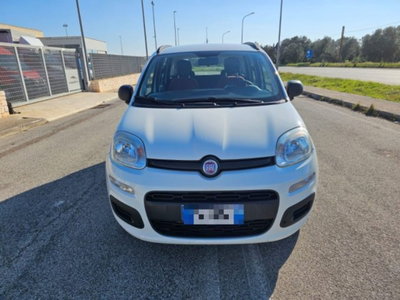 Fiat Panda 0.9 TwinAir Turbo Natural Power Pop Van 2 posti (2)