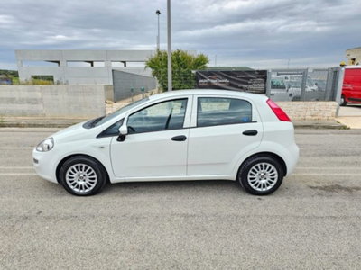 Fiat Punto 1.3 MJT 95CV S&S MTA 5 porte Van Easy 4 posti (10)