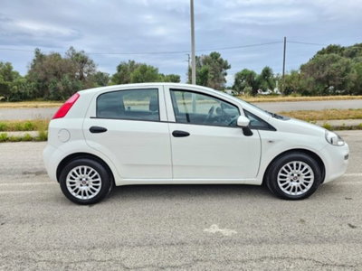Fiat Punto 1.3 MJT 95CV S&S MTA 5 porte Van Easy 4 posti (4)