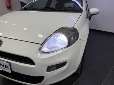Fiat Punto 1.4 8V 5 porte Natural Power Easy (3)