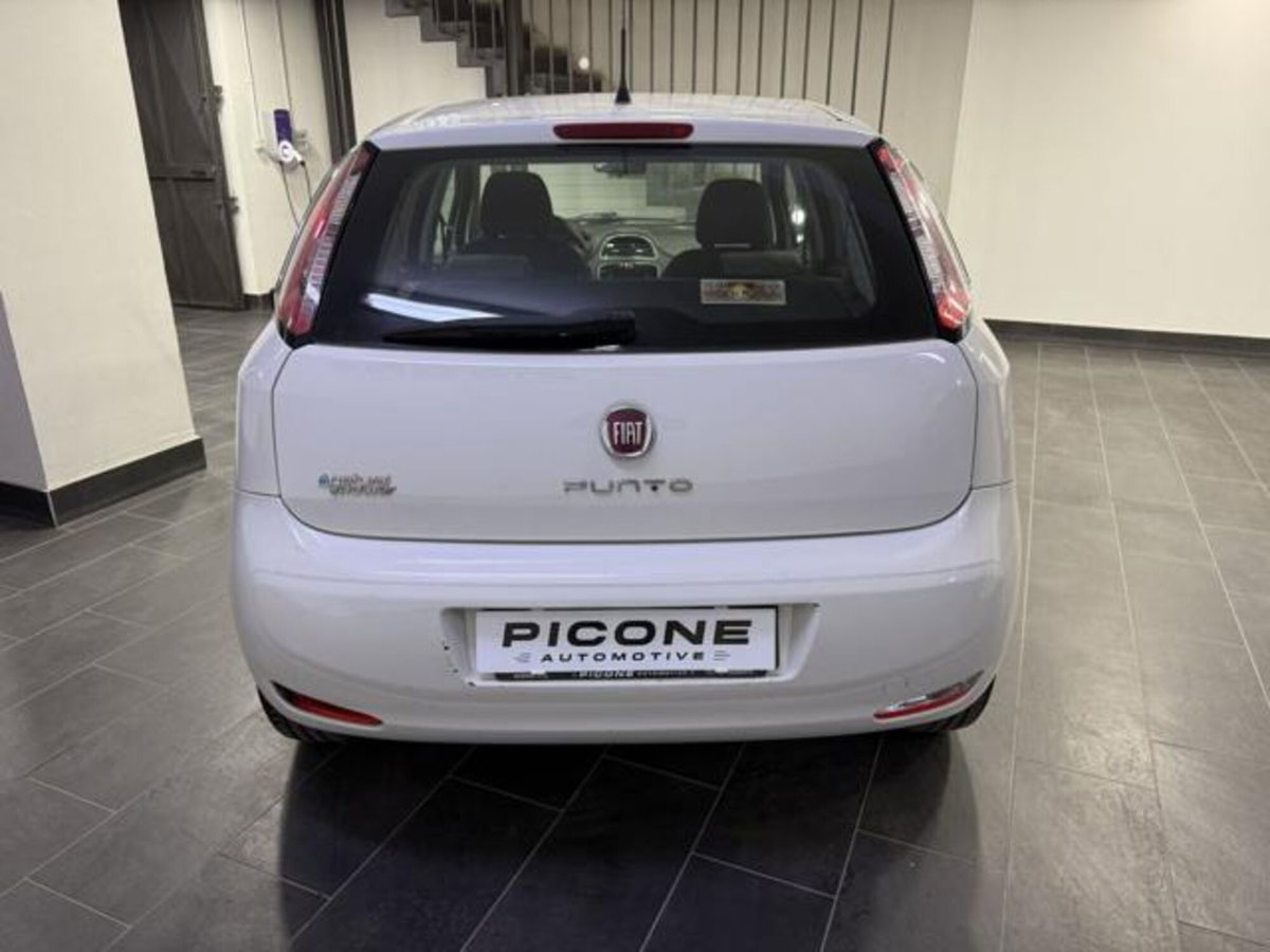 Fiat Punto 1.4 8V 5 porte Natural Power Easy (5)