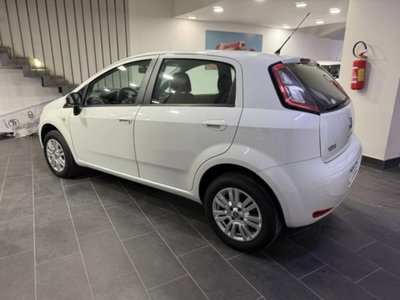 Fiat Punto 1.4 8V 5 porte Natural Power Easy (8)