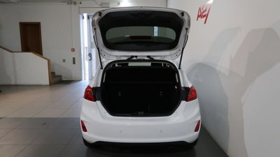 Ford Fiesta 1.1 75 CV GPL 5 porte Titanium (11)