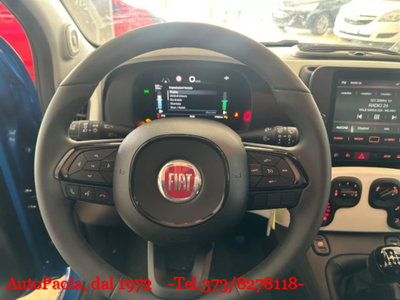 Fiat Panda 1.0 firefly hybrid s&s 70cv 5p.ti (7)