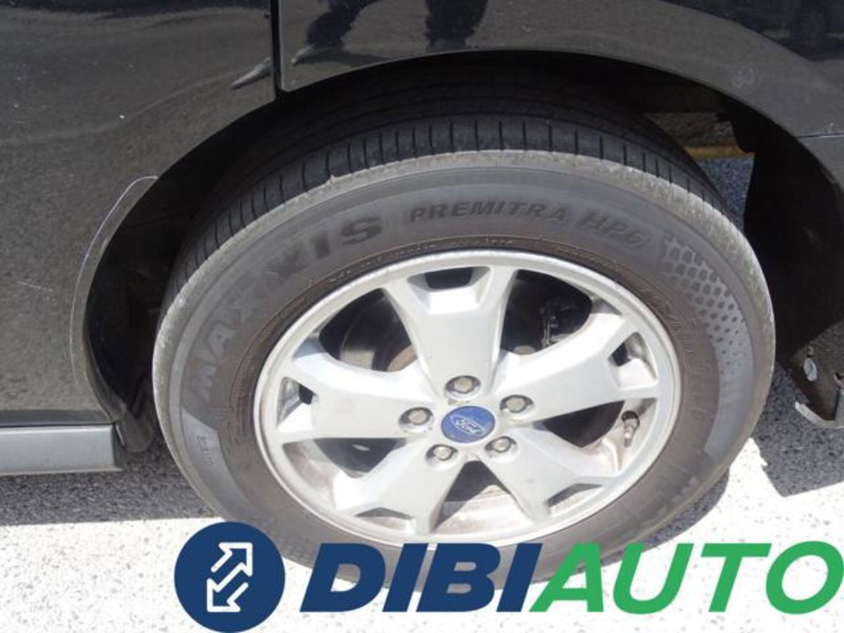 Ford Tourneo Connect 1.6 TDCi 115 CV Titanium (20)