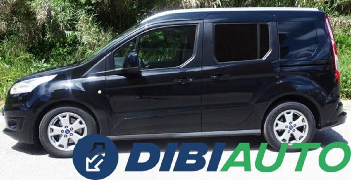 Ford Tourneo Connect 1.6 TDCi 115 CV Titanium (7)