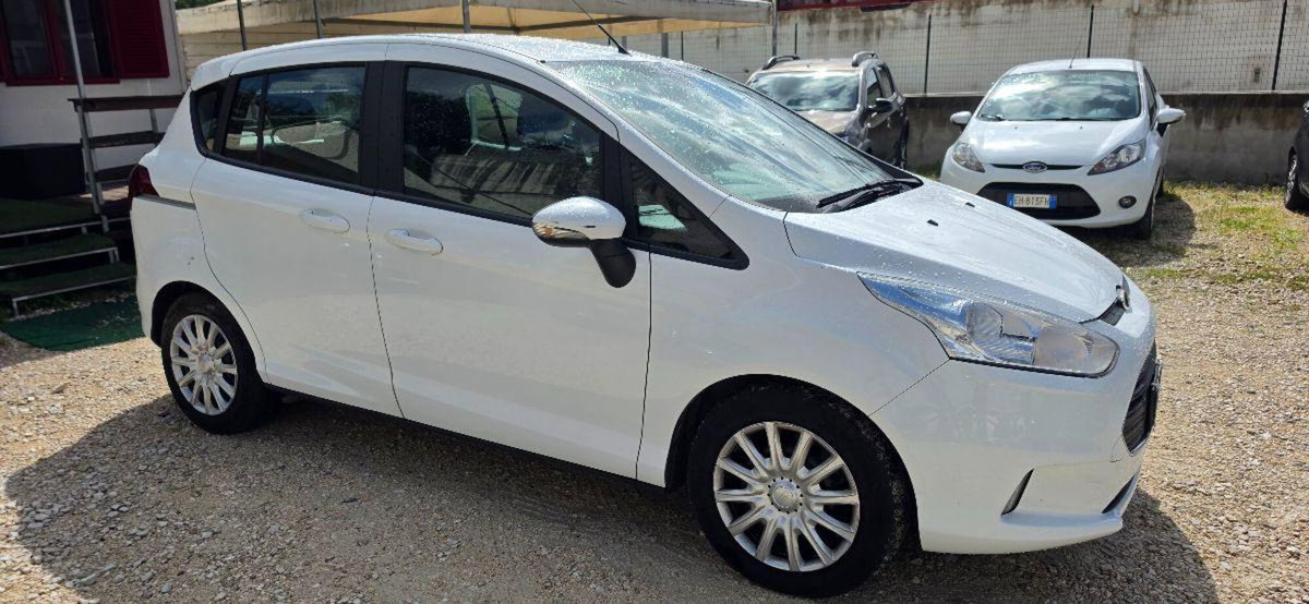 Ford B-Max B-Max 1.5 TDCi 75 CV Titanium (8)