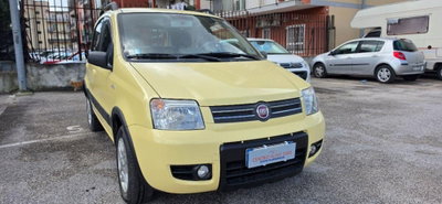 Fiat Panda 1.2 Climbing Natural Power (9)