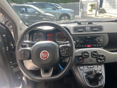 Fiat Panda 1.0 firefly hybrid s&s 70cv 5p.ti (14)