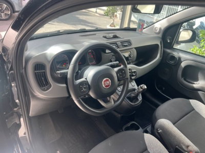 Fiat Panda 1.0 firefly hybrid s&s 70cv 5p.ti (15)