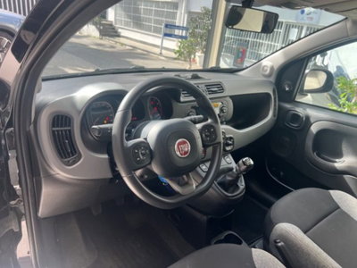 Fiat Panda 1.0 firefly hybrid s&s 70cv 5p.ti (16)