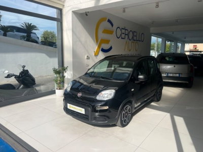 Fiat Panda 1.0 firefly hybrid s&s 70cv 5p.ti (2)