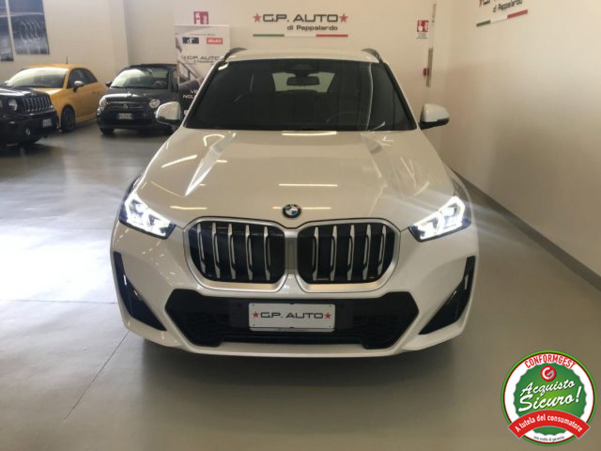 BMW X1 sDrive 18d Msport (2)