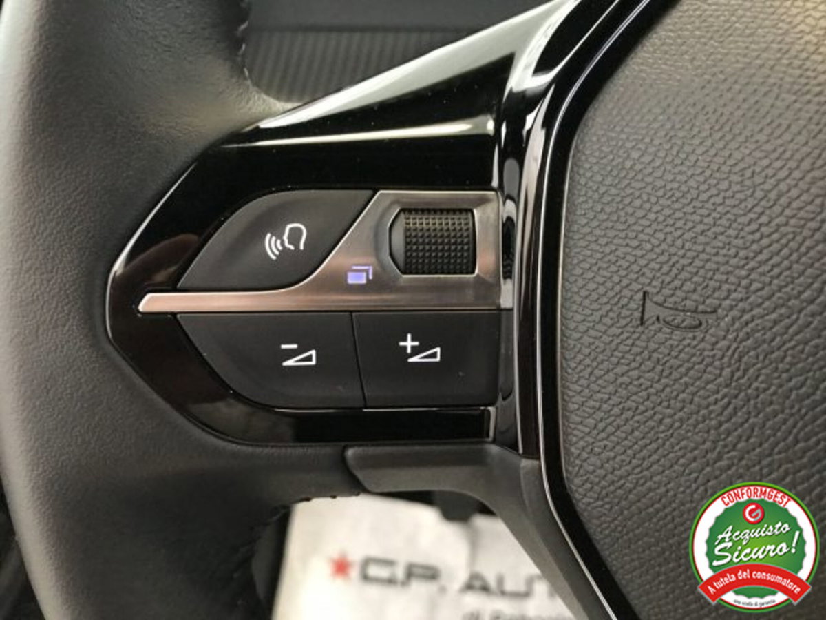 Peugeot 2008 PureTech 100 S&S Allure (12)