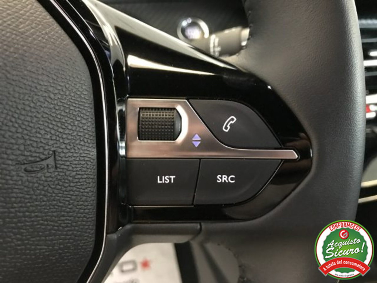 Peugeot 2008 PureTech 100 S&S Allure (13)