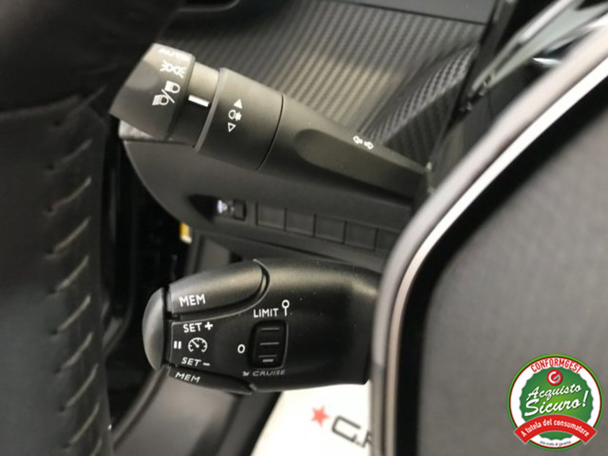 Peugeot 2008 PureTech 100 S&S Allure (15)