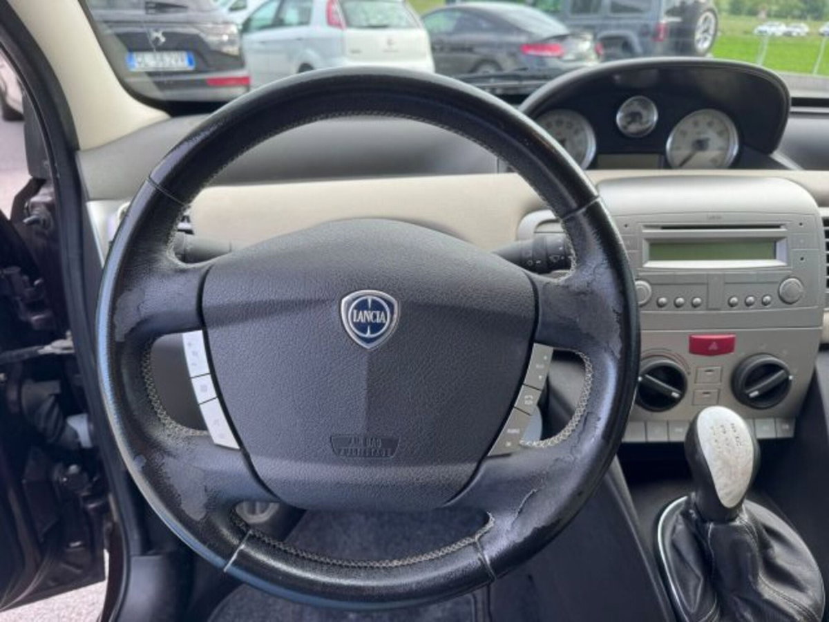Lancia Ypsilon 1.3 MJT 75 CV Passion (10)