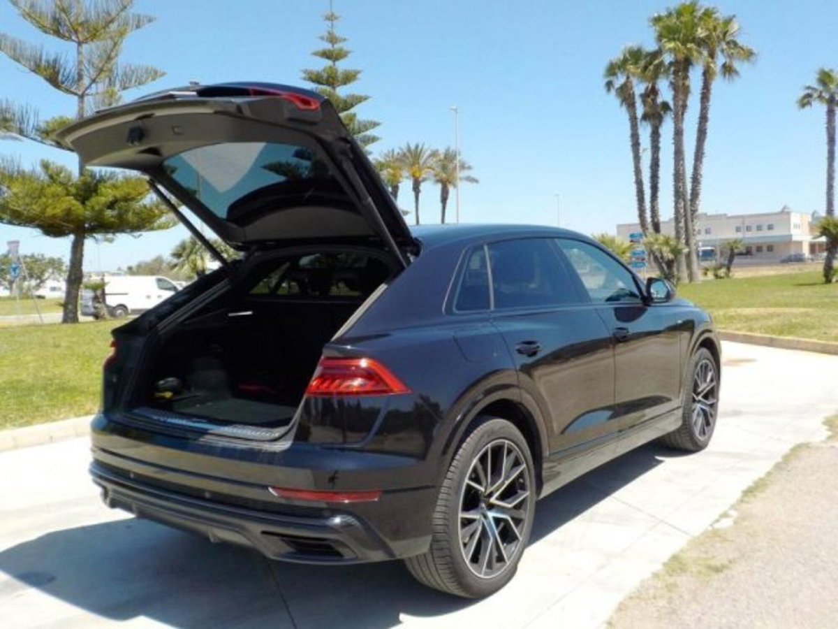 Audi Q8 Q8 50 TDI 286 CV quattro tiptronic Sport (17)
