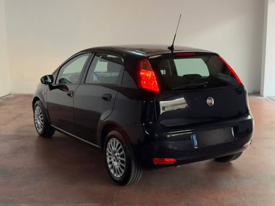 Fiat Punto 1.3 MJT II S&S 95 CV 5 porte Street (5)