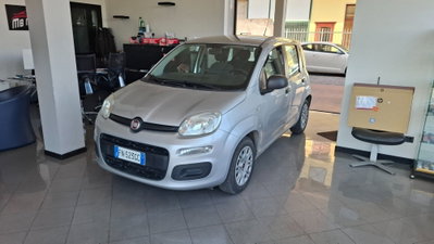 Fiat Panda 1.2 Easy usata