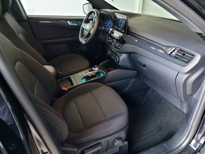 Ford Kuga 2.0 EcoBlue 120 CV aut. AWD ST-Line (15)