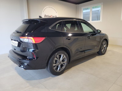 Ford Kuga 2.0 EcoBlue 120 CV aut. AWD ST-Line (8)