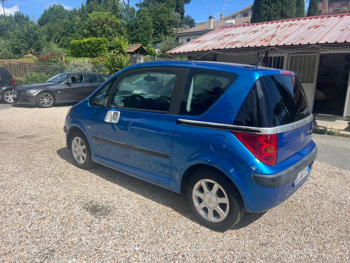 Peugeot 1007 1.4 Trendy (3)