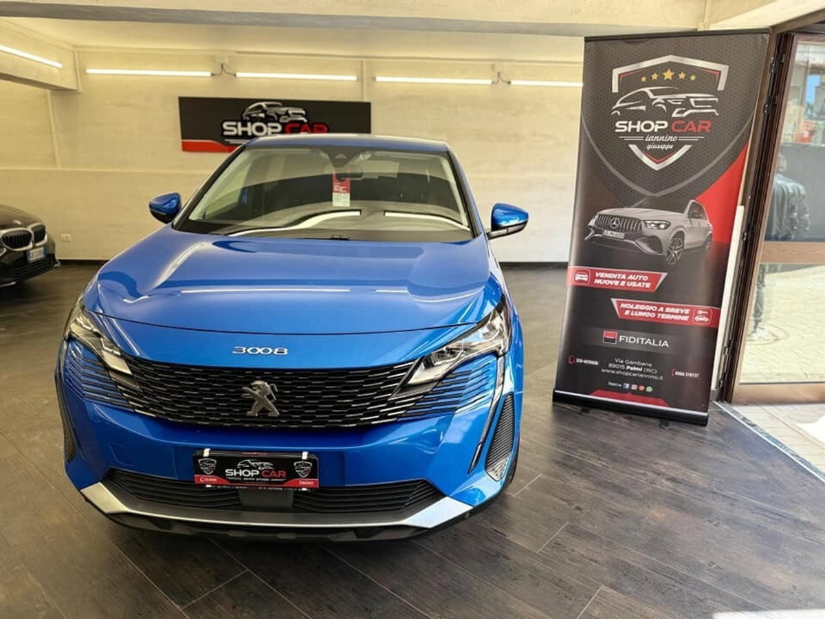 Peugeot 3008 BlueHDi 130 S&S Active (17)