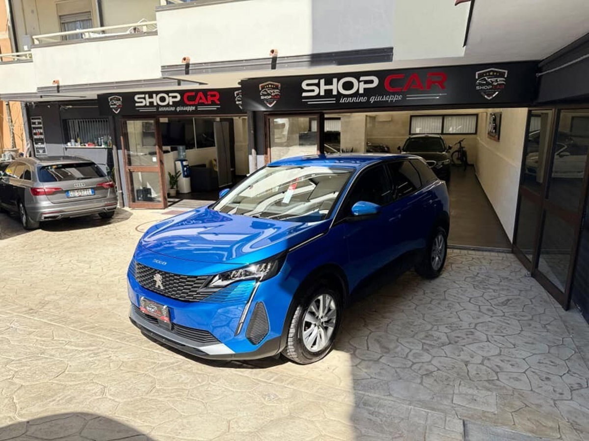 Peugeot 3008 BlueHDi 130 S&S Active (7)