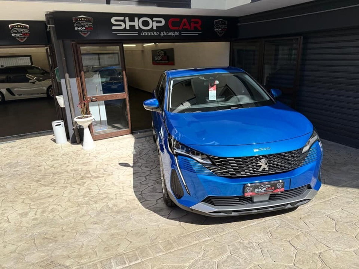 Peugeot 3008 BlueHDi 130 S&S Active (8)