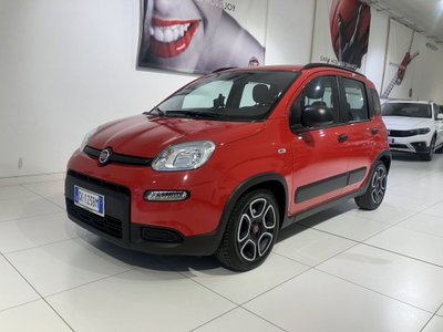 Fiat Panda 1.0 FireFly S&S Hybrid City Cross usata