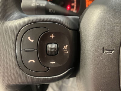 Fiat Panda 1.0 FireFly S&S Hybrid City Cross (10)