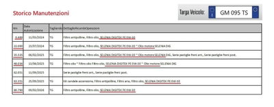 Alfa Romeo Stelvio Stelvio 2.0 Turbo 280 CV AT8 Q4 Veloce Tì (15)