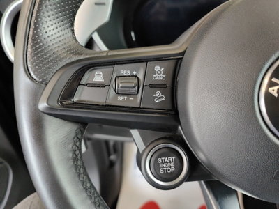 Alfa Romeo Stelvio Stelvio 2.0 Turbo 280 CV AT8 Q4 Veloce Tì (17)