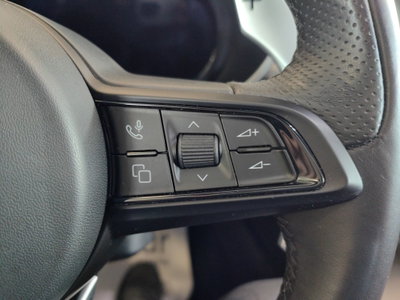 Alfa Romeo Stelvio Stelvio 2.0 Turbo 280 CV AT8 Q4 Veloce Tì (20)