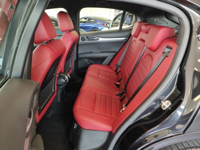 Alfa Romeo Stelvio Stelvio 2.0 Turbo 280 CV AT8 Q4 Veloce Tì (7)