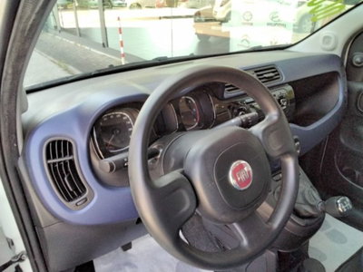 Fiat Panda 1.3 MJT S&S Lounge (15)