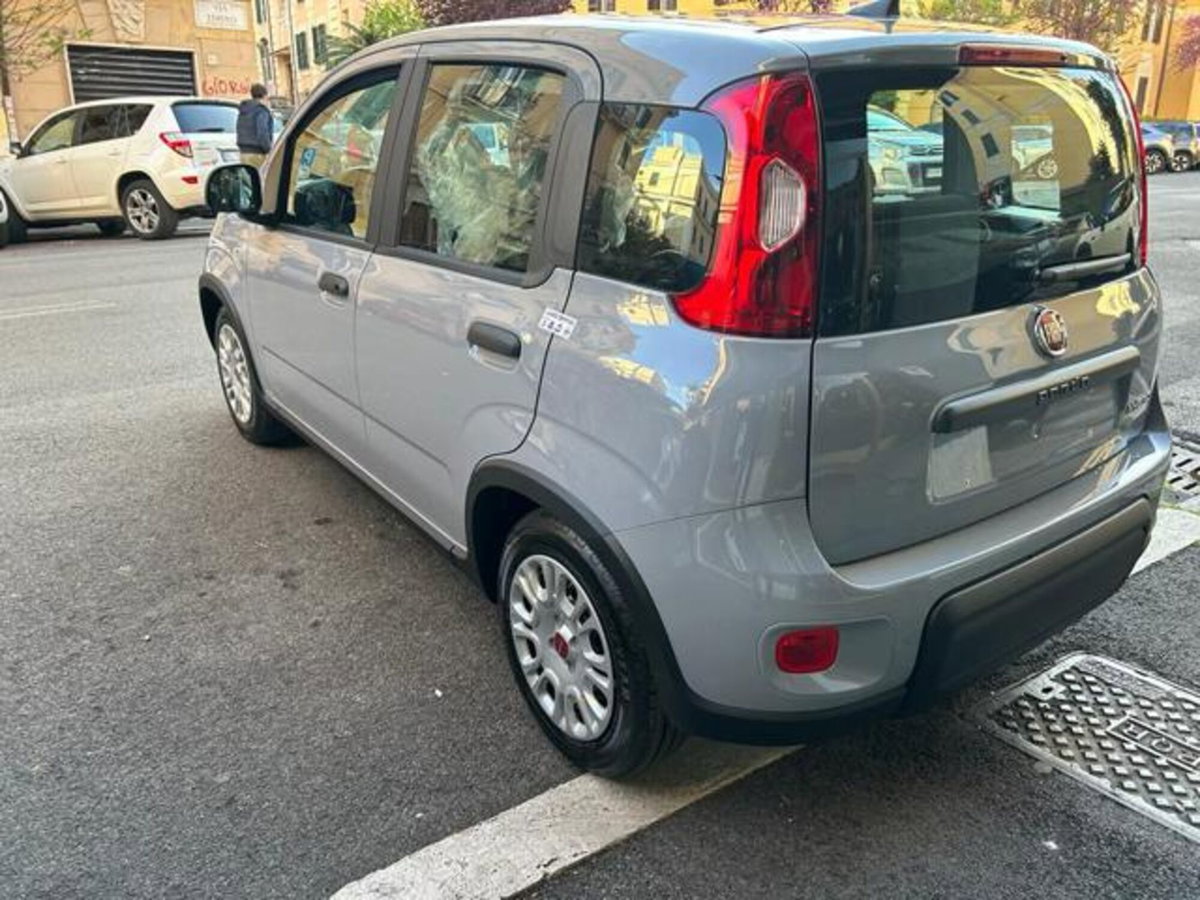 Fiat Panda 1.0 firefly hybrid s&s 70cv 5p.ti (10)