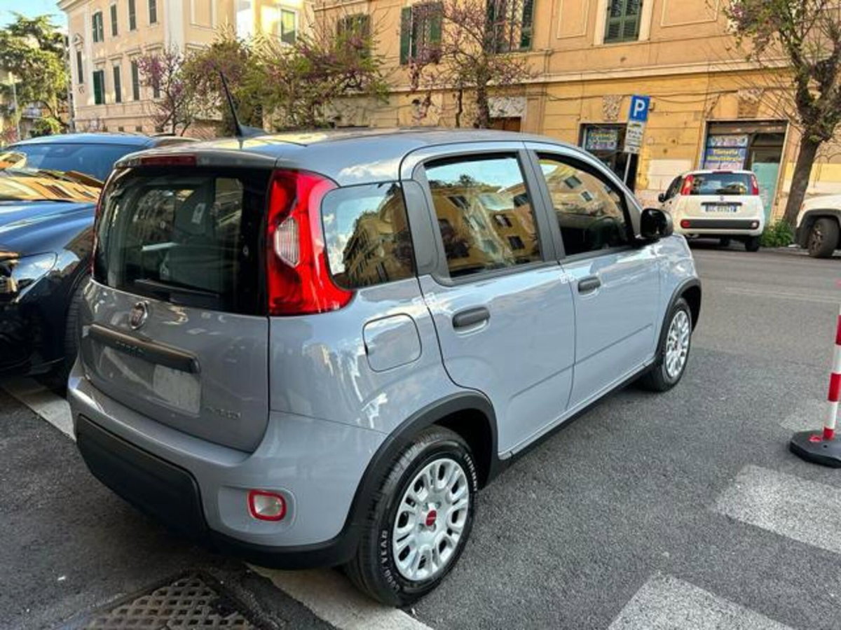 Fiat Panda 1.0 firefly hybrid s&s 70cv 5p.ti (7)