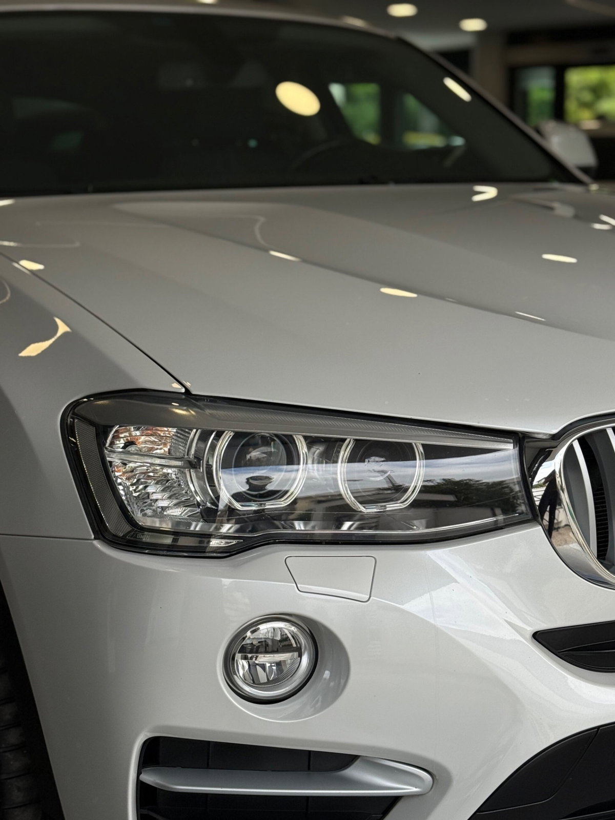 BMW X4 xDrive20d xLine (13)