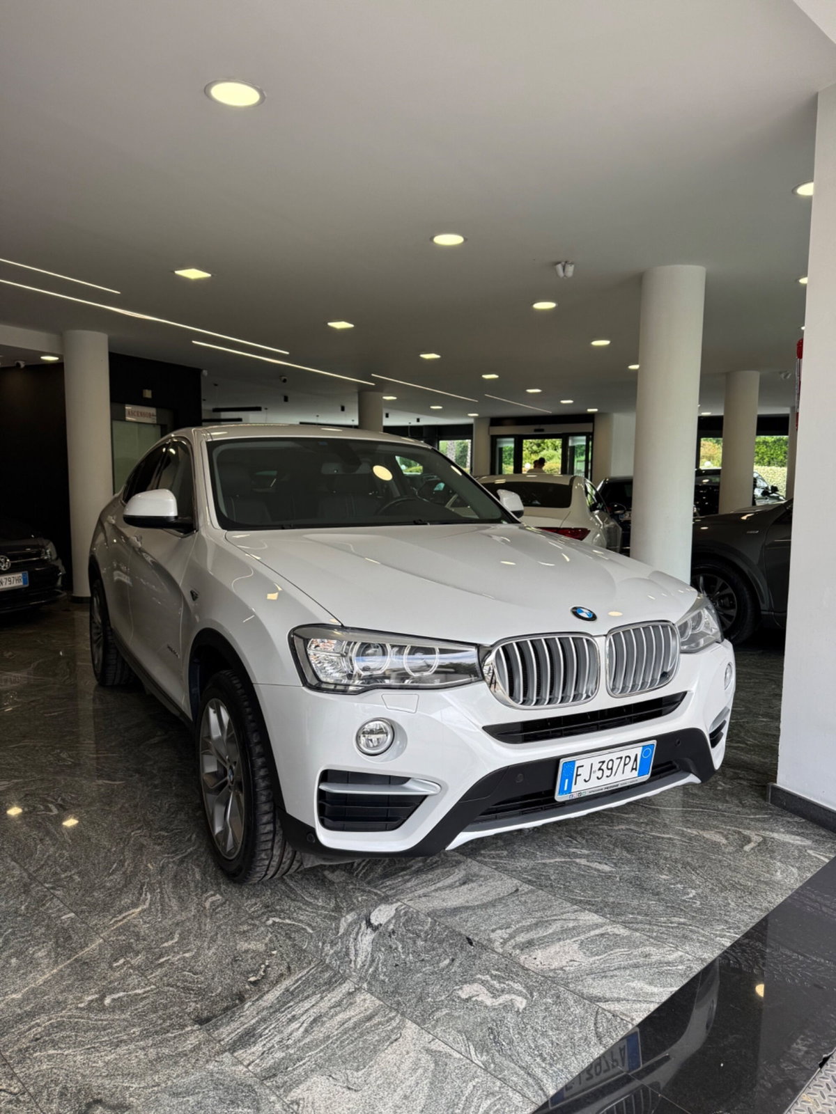 BMW X4 xDrive20d xLine (5)