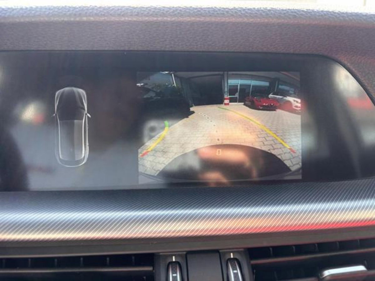 Alfa Romeo Stelvio Stelvio 2.0 Turbo 280 CV AT8 Q4 Veloce (13)