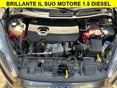 Ford Fiesta 1.5 TDCi 75CV 5 porte (12)