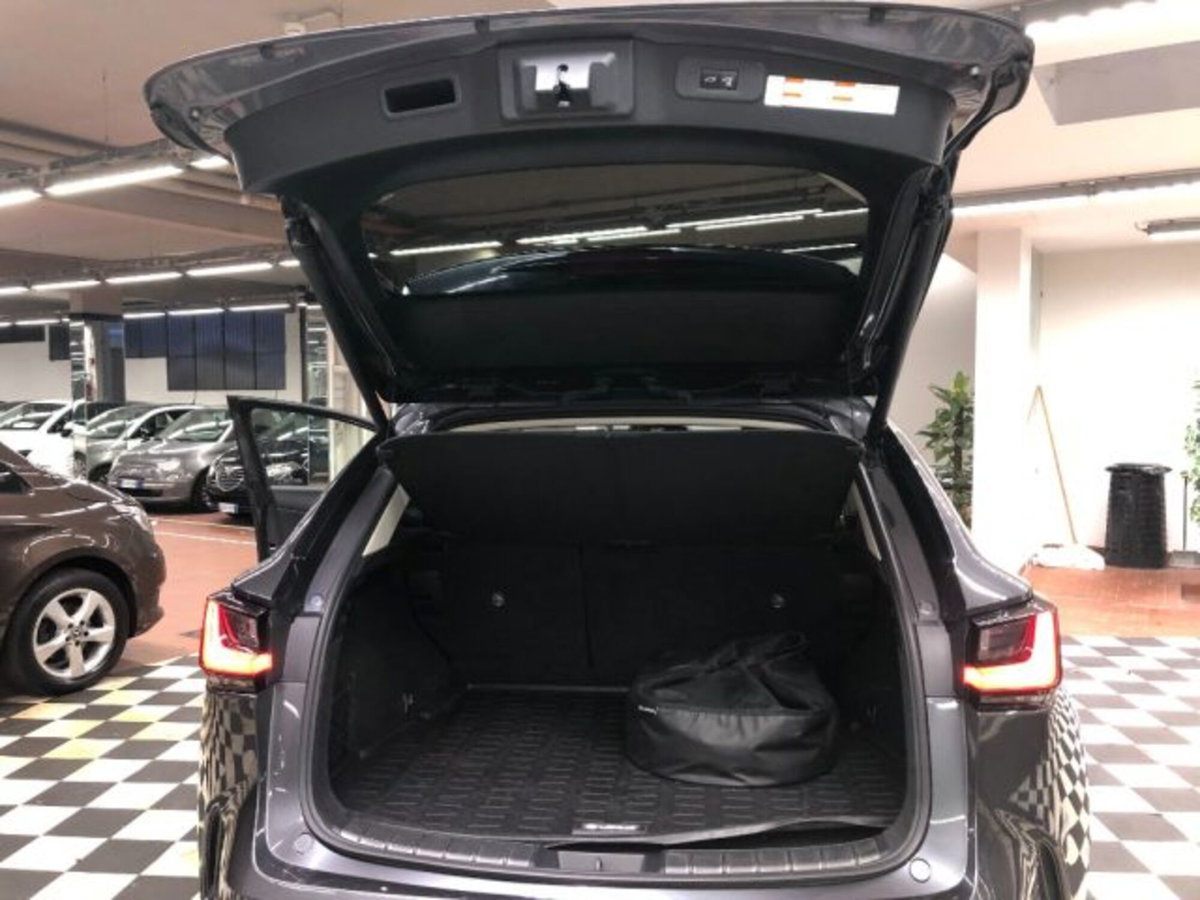 Lexus NX Plug-in 4WD Premium (10)