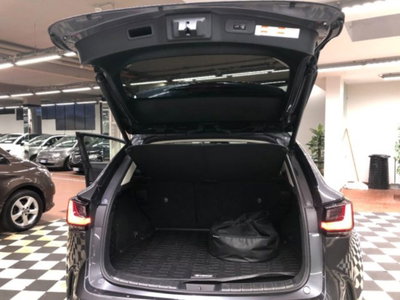 Lexus NX Plug-in 4WD Premium (10)