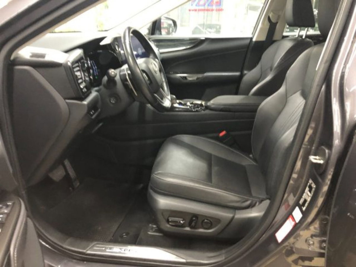 Lexus NX Plug-in 4WD Premium (14)
