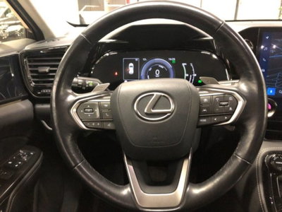 Lexus NX Plug-in 4WD Premium (16)