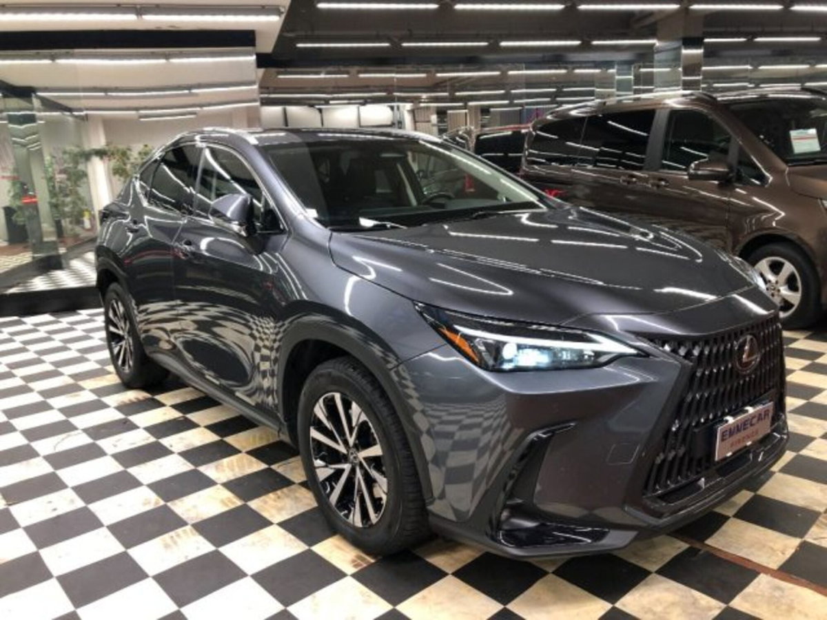 Lexus NX Plug-in 4WD Premium (2)