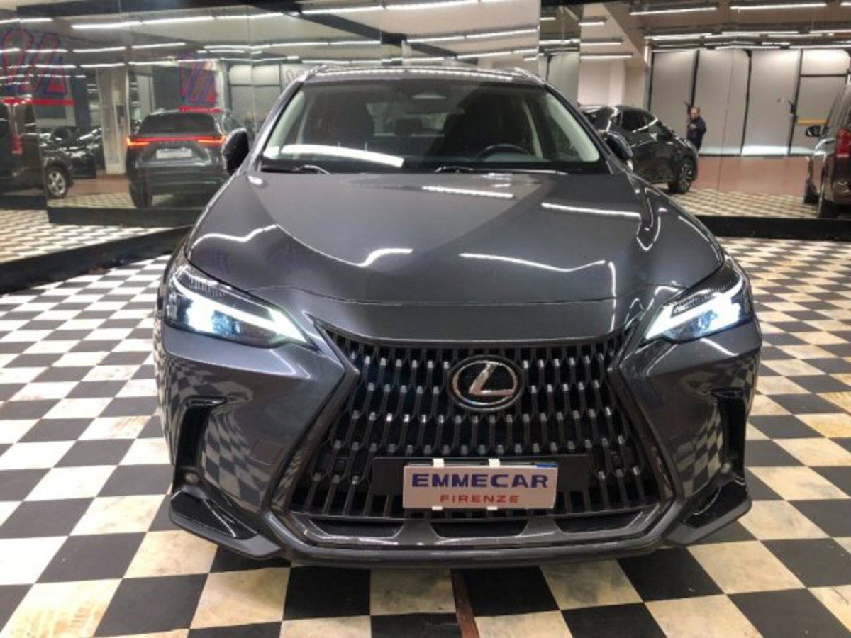 Lexus NX Plug-in 4WD Premium (3)