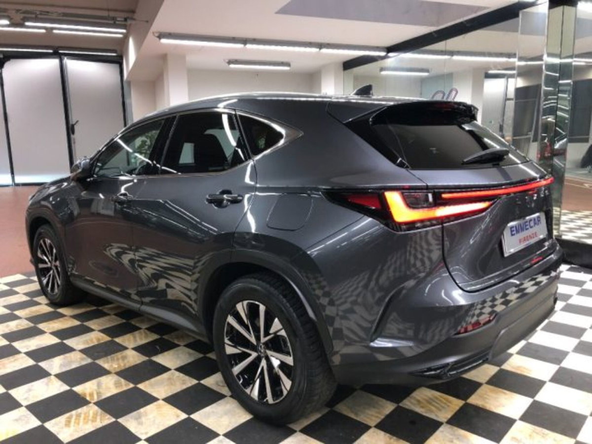 Lexus NX Plug-in 4WD Premium (4)